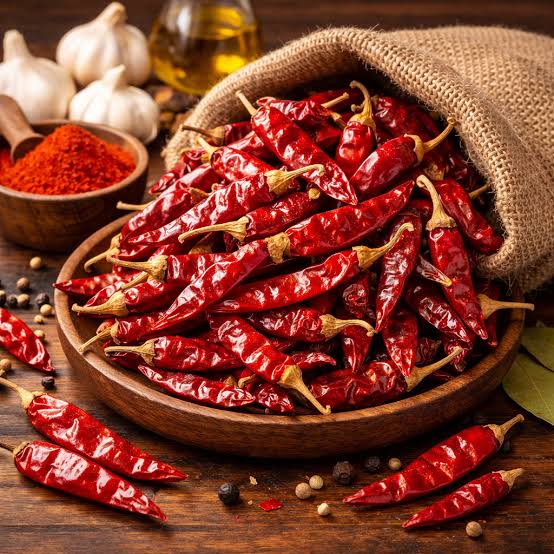 Dried red chilli peppers